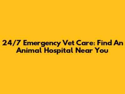 24/7 Emergency Vet Care: Find An Animal Hospital Near You