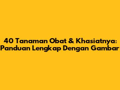 40 Tanaman Obat & Khasiatnya: Panduan Lengkap Dengan Gambar