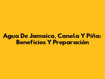 Agua De Jamaica, Canela Y Piña: Beneficios Y Preparación