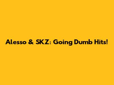 Alesso & SKZ: Going Dumb Hits!