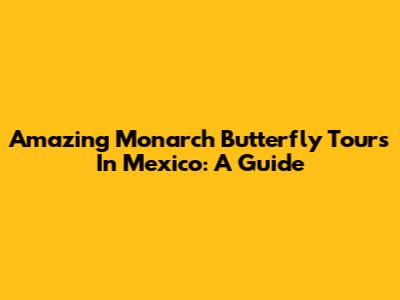 Amazing Monarch Butterfly Tours In Mexico: A Guide