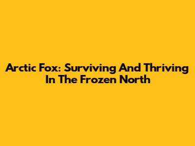Arctic Fox: Surviving And Thriving In The Frozen North