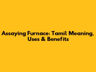 Assaying Furnace: Tamil Meaning, Uses & Benefits