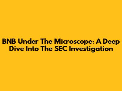 BNB Under The Microscope: A Deep Dive Into The SEC Investigation