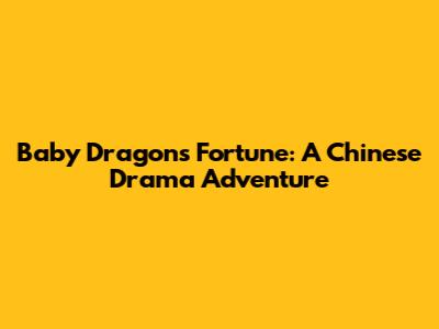 Baby Dragon's Fortune: A Chinese Drama Adventure