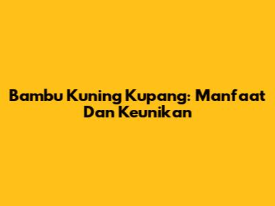 Bambu Kuning Kupang: Manfaat Dan Keunikan