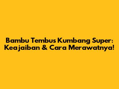 Bambu Tembus Kumbang Super: Keajaiban & Cara Merawatnya!