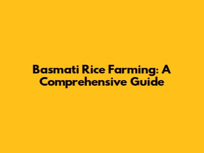 Basmati Rice Farming: A Comprehensive Guide