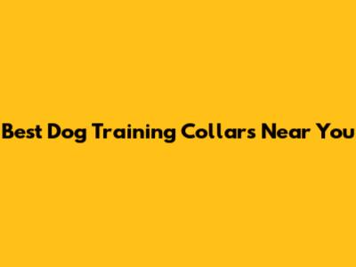 Best Dog Training Collars Near You