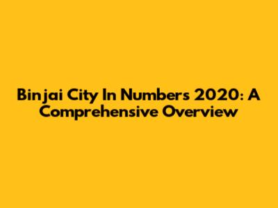 Binjai City In Numbers 2020: A Comprehensive Overview