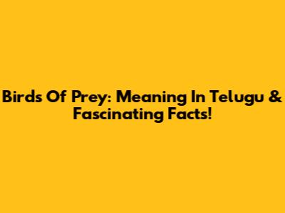 Birds Of Prey: Meaning In Telugu & Fascinating Facts!