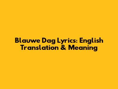 Blauwe Dag Lyrics: English Translation & Meaning