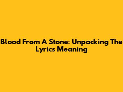 Blood From A Stone: Unpacking The Lyrics Meaning