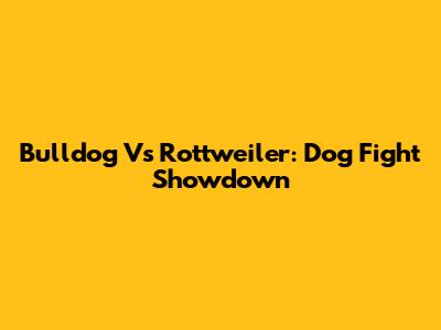 Bulldog Vs Rottweiler: Dog Fight Showdown
