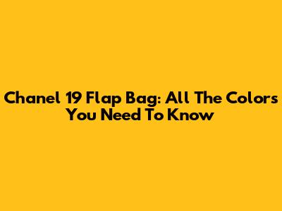 Chanel 19 Flap Bag: All The Colors You Need To Know