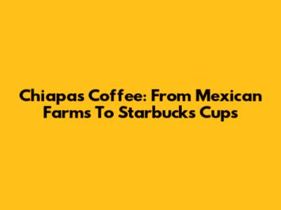 Chiapas Coffee: From Mexican Farms To Starbucks Cups