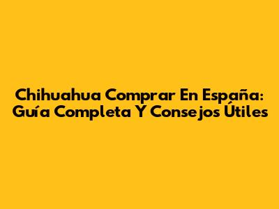 Chihuahua Comprar En España: Guía Completa Y Consejos Útiles