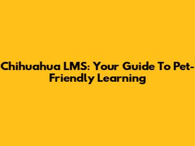 Chihuahua LMS: Your Guide To Pet-Friendly Learning