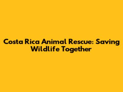 Costa Rica Animal Rescue: Saving Wildlife Together