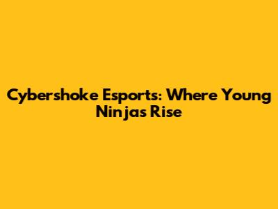 Cybershoke Esports: Where Young Ninjas Rise