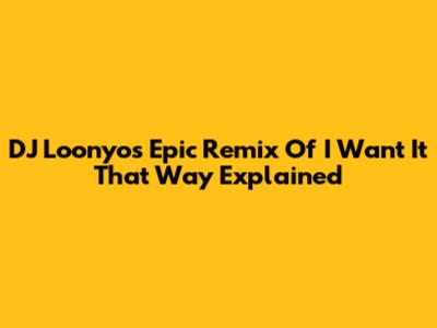 DJ Loonyo's Epic Remix Of 'I Want It That Way' Explained
