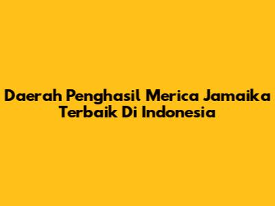 Daerah Penghasil Merica Jamaika Terbaik Di Indonesia
