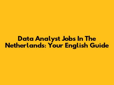 Data Analyst Jobs In The Netherlands: Your English Guide