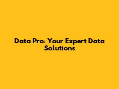 Data Pro: Your Expert Data Solutions