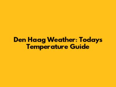 Den Haag Weather: Today's Temperature Guide