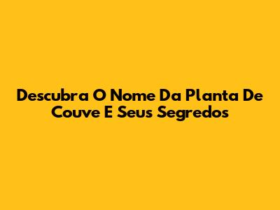 Descubra O Nome Da Planta De Couve E Seus Segredos