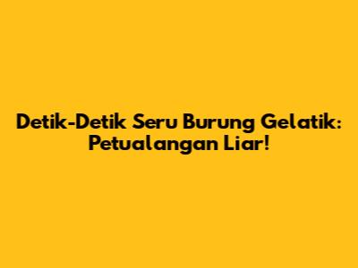 Detik-Detik Seru Burung Gelatik: Petualangan Liar!