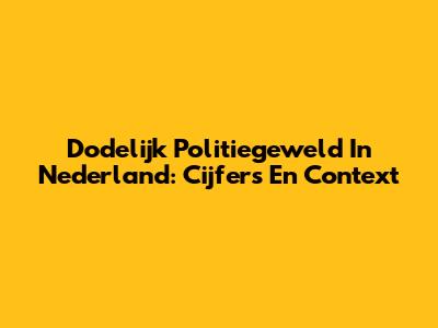 Dodelijk Politiegeweld In Nederland: Cijfers En Context