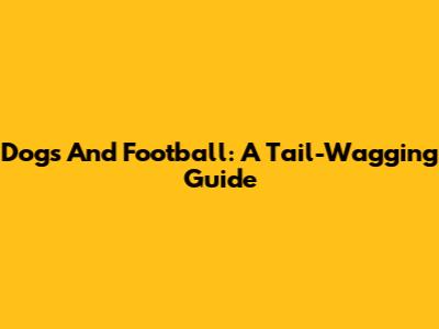 Dogs And Football: A Tail-Wagging Guide
