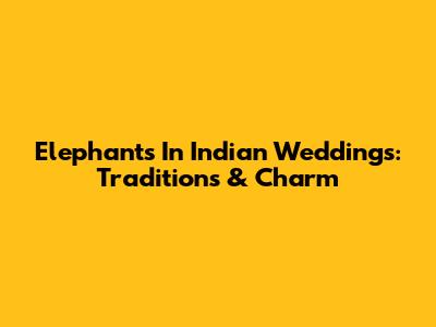 Elephants In Indian Weddings: Traditions & Charm