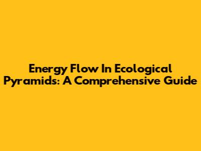 Energy Flow In Ecological Pyramids: A Comprehensive Guide