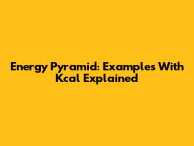 Energy Pyramid: Examples With Kcal Explained