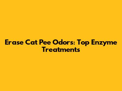 Erase Cat Pee Odors: Top Enzyme Treatments