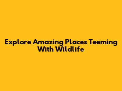 Explore Amazing Places Teeming With Wildlife