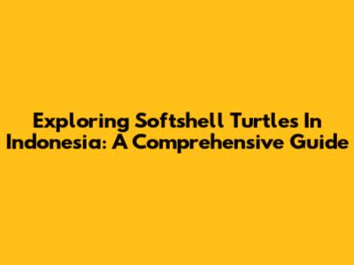 Exploring Softshell Turtles In Indonesia: A Comprehensive Guide