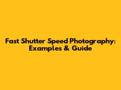 Fast Shutter Speed Photography: Examples & Guide