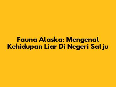Fauna Alaska: Mengenal Kehidupan Liar Di Negeri Salju