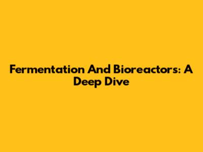 Fermentation And Bioreactors: A Deep Dive