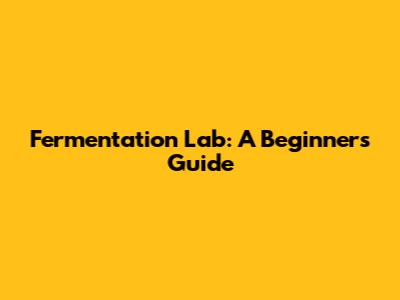 Fermentation Lab: A Beginner's Guide