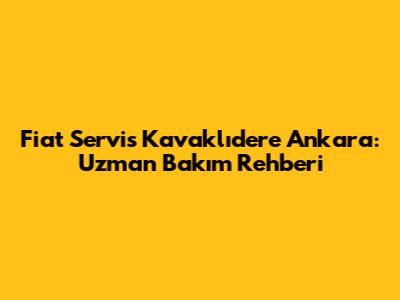 Fiat Servis Kavaklıdere Ankara: Uzman Bakım Rehberi