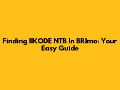 Finding IIKODE NTB In BRImo: Your Easy Guide