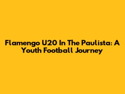 Flamengo U20 In The Paulista: A Youth Football Journey