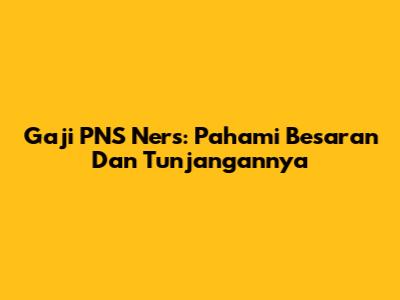 Gaji PNS Ners: Pahami Besaran Dan Tunjangannya