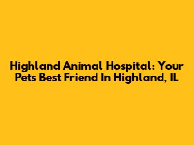 Highland Animal Hospital: Your Pet's Best Friend In Highland, IL
