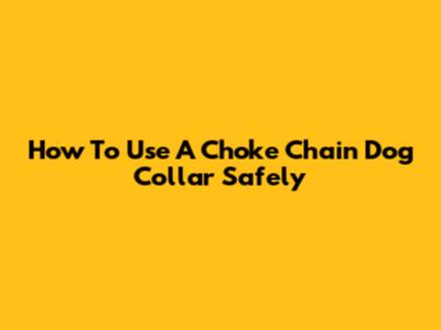 How To Use A Choke Chain Dog Collar Safely