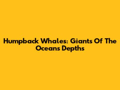 Humpback Whales: Giants Of The Ocean's Depths